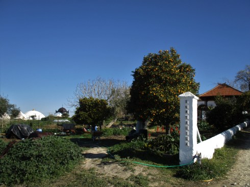 garden at suryalila