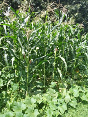 3 Sisters_ Eden Hall